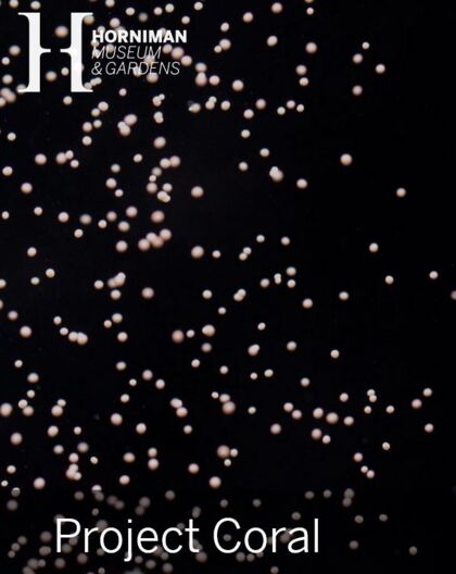 Das Horniman Aquarium in London, Großbritannien benutzt ROWAphos bei der bei der kontrollierten Laichung von Korallen