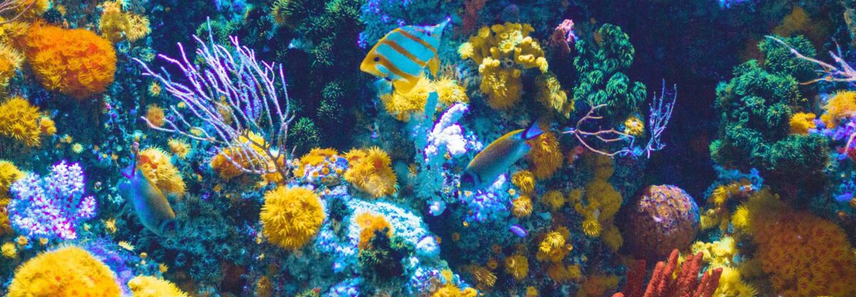 Invisible helpers for a stable nitrogen cycle right from the start: ROWA®bac contains particularly salt-tolerant nitrifiers and denitrifiers.